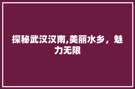 探秘武汉汉南,美丽水乡，魅力无限  第1张