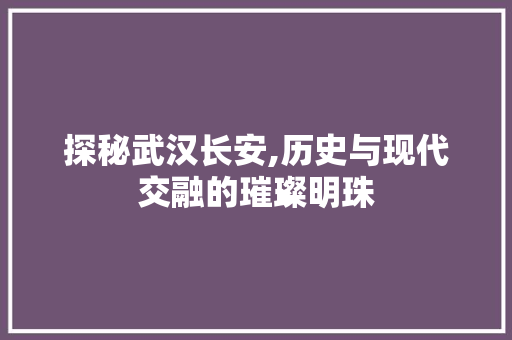 探秘武汉长安,历史与现代交融的璀璨明珠