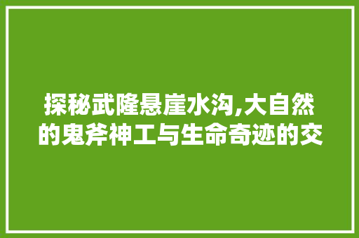 探秘武隆悬崖水沟,大自然的鬼斧神工与生命奇迹的交响曲  第1张