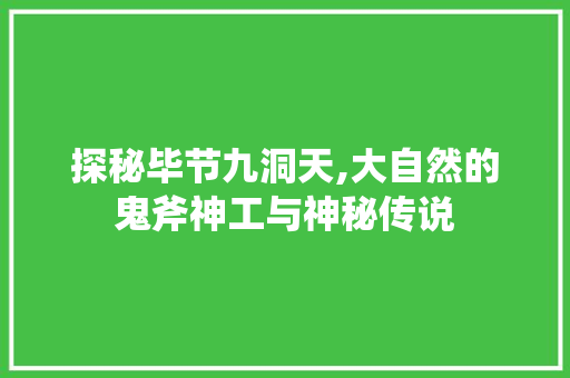 探秘毕节九洞天,大自然的鬼斧神工与神秘传说