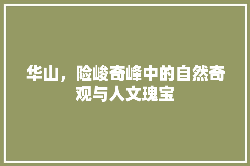 华山，险峻奇峰中的自然奇观与人文瑰宝