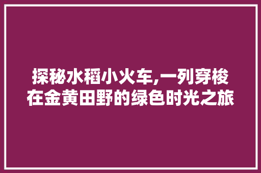 探秘水稻小火车,一列穿梭在金黄田野的绿色时光之旅