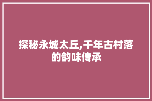 探秘永城太丘,千年古村落的韵味传承