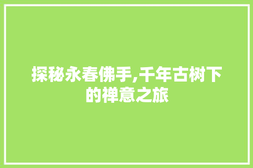 探秘永春佛手,千年古树下的禅意之旅