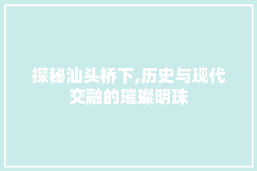 探秘汕头桥下,历史与现代交融的璀璨明珠