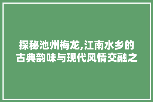 探秘池州梅龙,江南水乡的古典韵味与现代风情交融之地