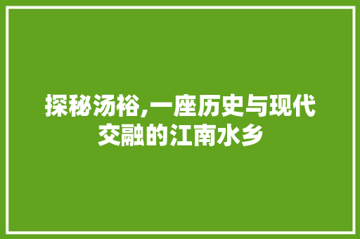 探秘汤裕,一座历史与现代交融的江南水乡