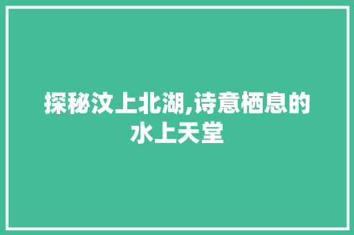 探秘汶上北湖,诗意栖息的水上天堂