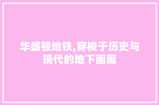 华盛顿地铁,穿梭于历史与现代的地下画廊