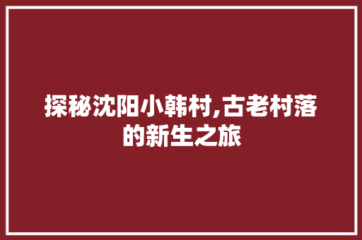 探秘沈阳小韩村,古老村落的新生之旅