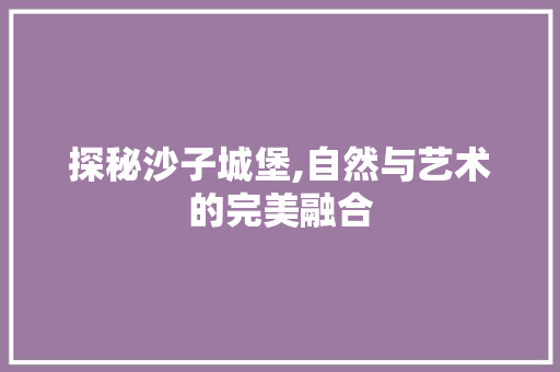 探秘沙子城堡,自然与艺术的完美融合