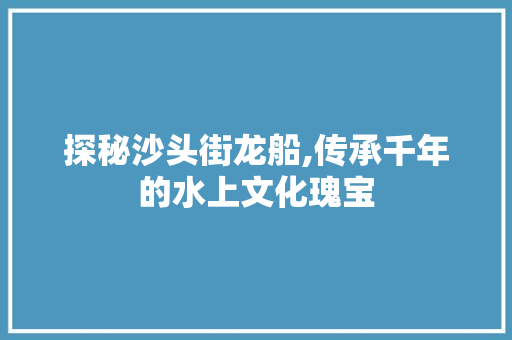 探秘沙头街龙船,传承千年的水上文化瑰宝  第1张