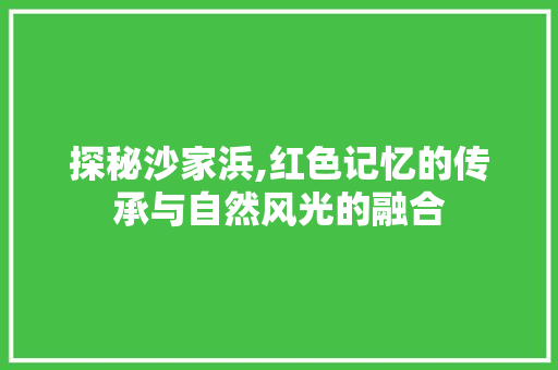 探秘沙家浜,红色记忆的传承与自然风光的融合