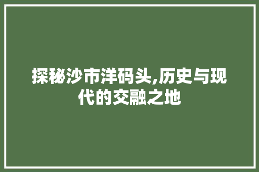 探秘沙市洋码头,历史与现代的交融之地