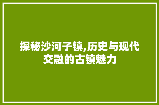 探秘沙河子镇,历史与现代交融的古镇魅力