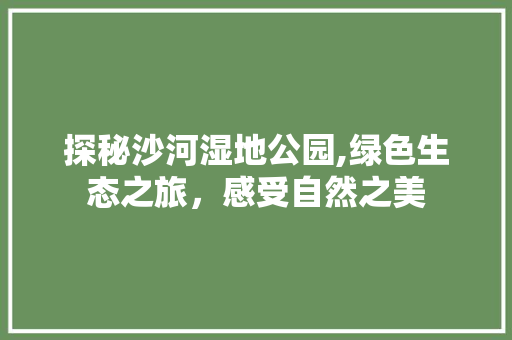 探秘沙河湿地公园,绿色生态之旅，感受自然之美