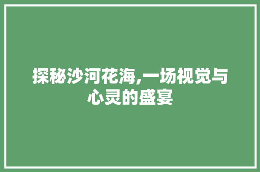 探秘沙河花海,一场视觉与心灵的盛宴