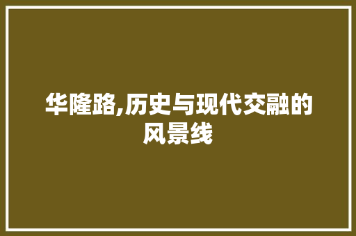 华隆路,历史与现代交融的风景线