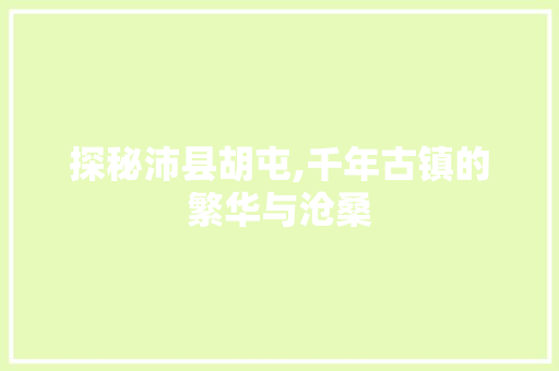 探秘沛县胡屯,千年古镇的繁华与沧桑