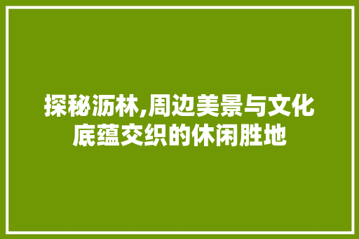 探秘沥林,周边美景与文化底蕴交织的休闲胜地