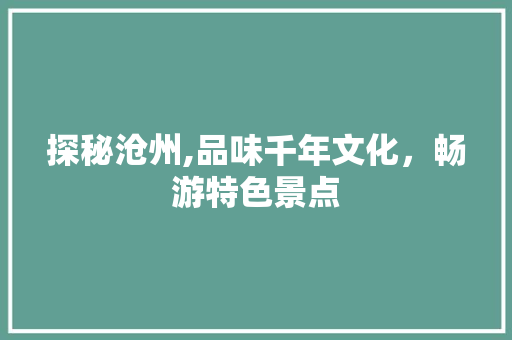 探秘沧州,品味千年文化，畅游特色景点