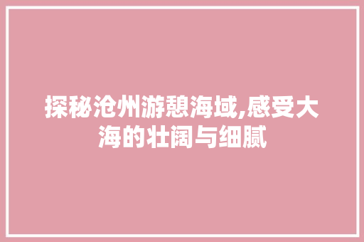 探秘沧州游憩海域,感受大海的壮阔与细腻