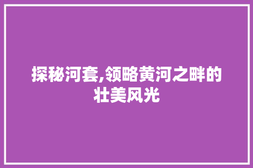 探秘河套,领略黄河之畔的壮美风光