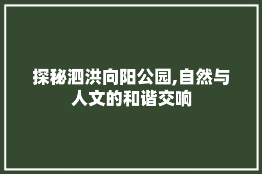 探秘泗洪向阳公园,自然与人文的和谐交响