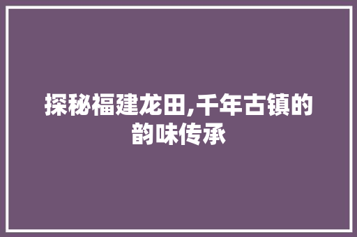 探秘福建龙田,千年古镇的韵味传承