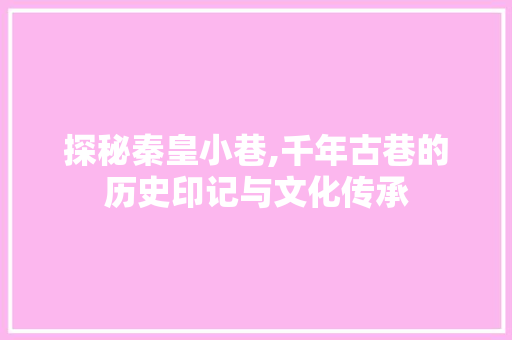 探秘秦皇小巷,千年古巷的历史印记与文化传承