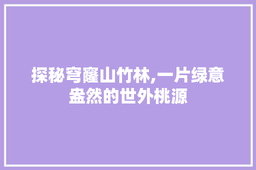 探秘穹窿山竹林,一片绿意盎然的世外桃源