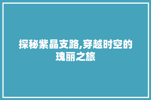 探秘紫晶支路,穿越时空的瑰丽之旅