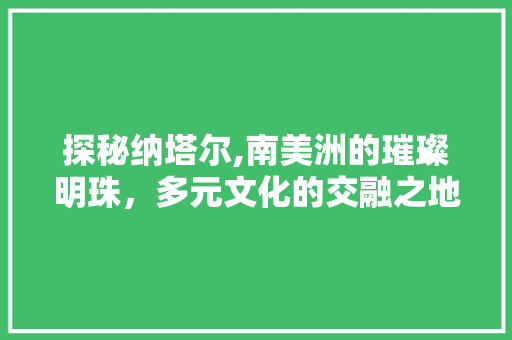 探秘纳塔尔,南美洲的璀璨明珠，多元文化的交融之地