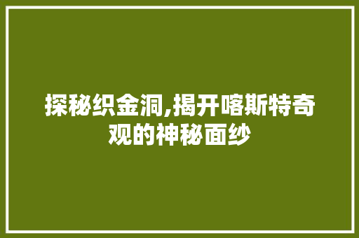 探秘织金洞,揭开喀斯特奇观的神秘面纱  第1张