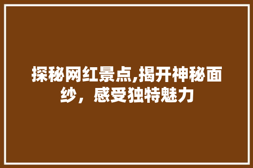 探秘网红景点,揭开神秘面纱，感受独特魅力