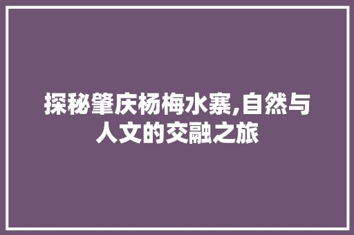 探秘肇庆杨梅水寨,自然与人文的交融之旅  第1张