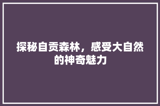 探秘自贡森林，感受大自然的神奇魅力