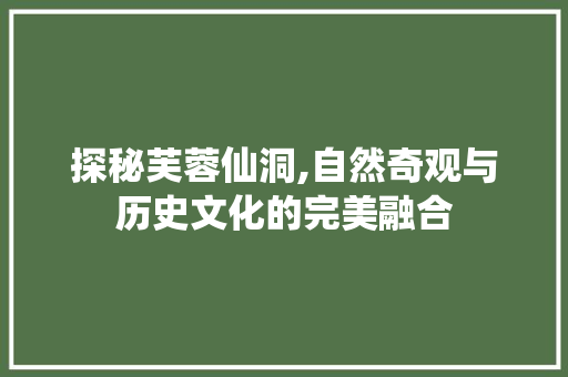 探秘芙蓉仙洞,自然奇观与历史文化的完美融合