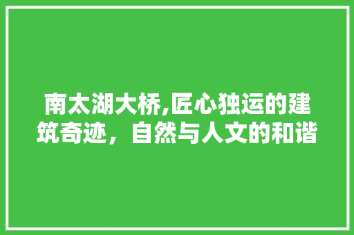 南太湖大桥,匠心独运的建筑奇迹，自然与人文的和谐交响