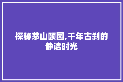 探秘茅山颐园,千年古刹的静谧时光