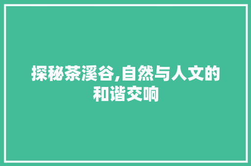 探秘茶溪谷,自然与人文的和谐交响