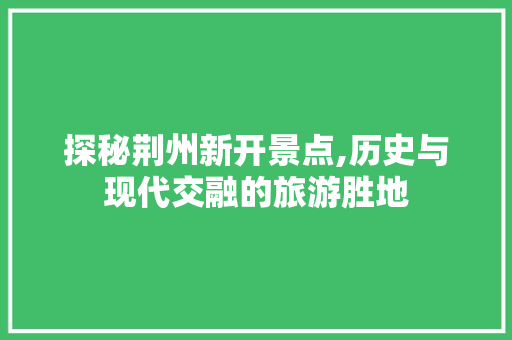 探秘荆州新开景点,历史与现代交融的旅游胜地  第1张