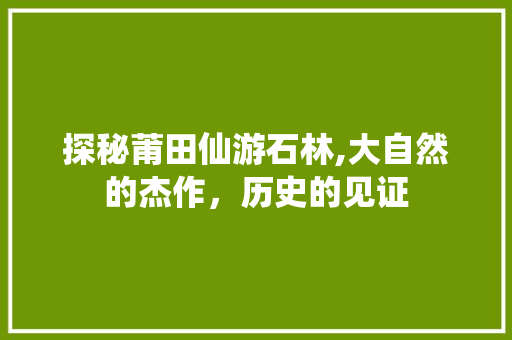 探秘莆田仙游石林,大自然的杰作，历史的见证  第1张