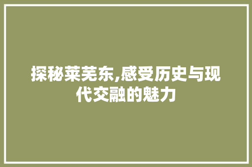 探秘莱芜东,感受历史与现代交融的魅力