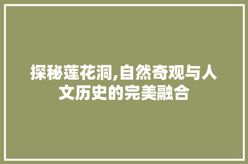 探秘莲花洞,自然奇观与人文历史的完美融合