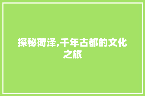 探秘菏泽,千年古都的文化之旅