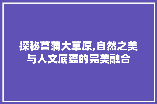 探秘菖蒲大草原,自然之美与人文底蕴的完美融合