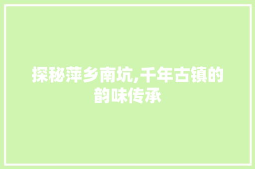 探秘萍乡南坑,千年古镇的韵味传承