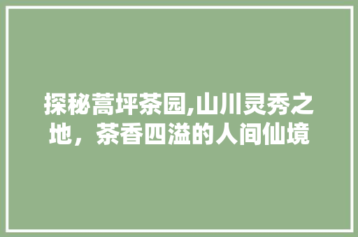 探秘蒿坪茶园,山川灵秀之地，茶香四溢的人间仙境