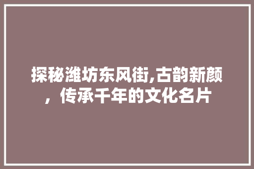 探秘潍坊东风街,古韵新颜，传承千年的文化名片